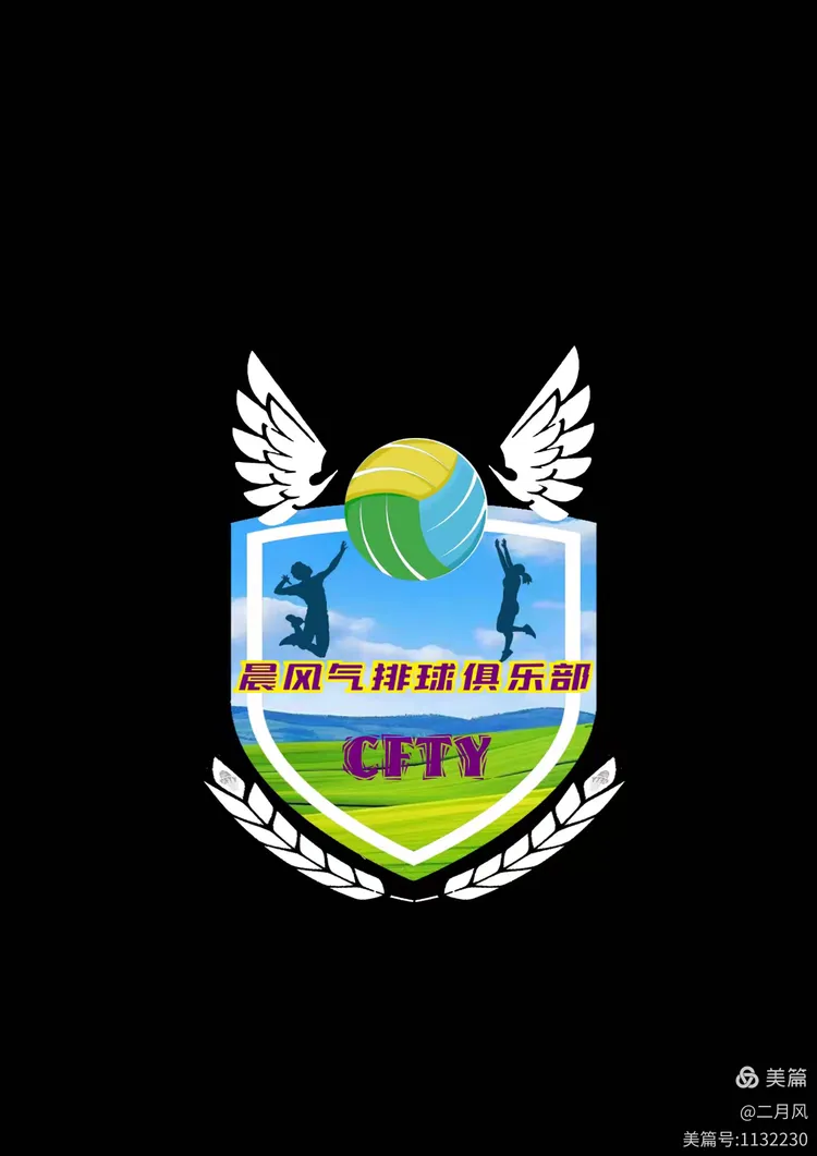 晨风气排球俱乐部logo的征集